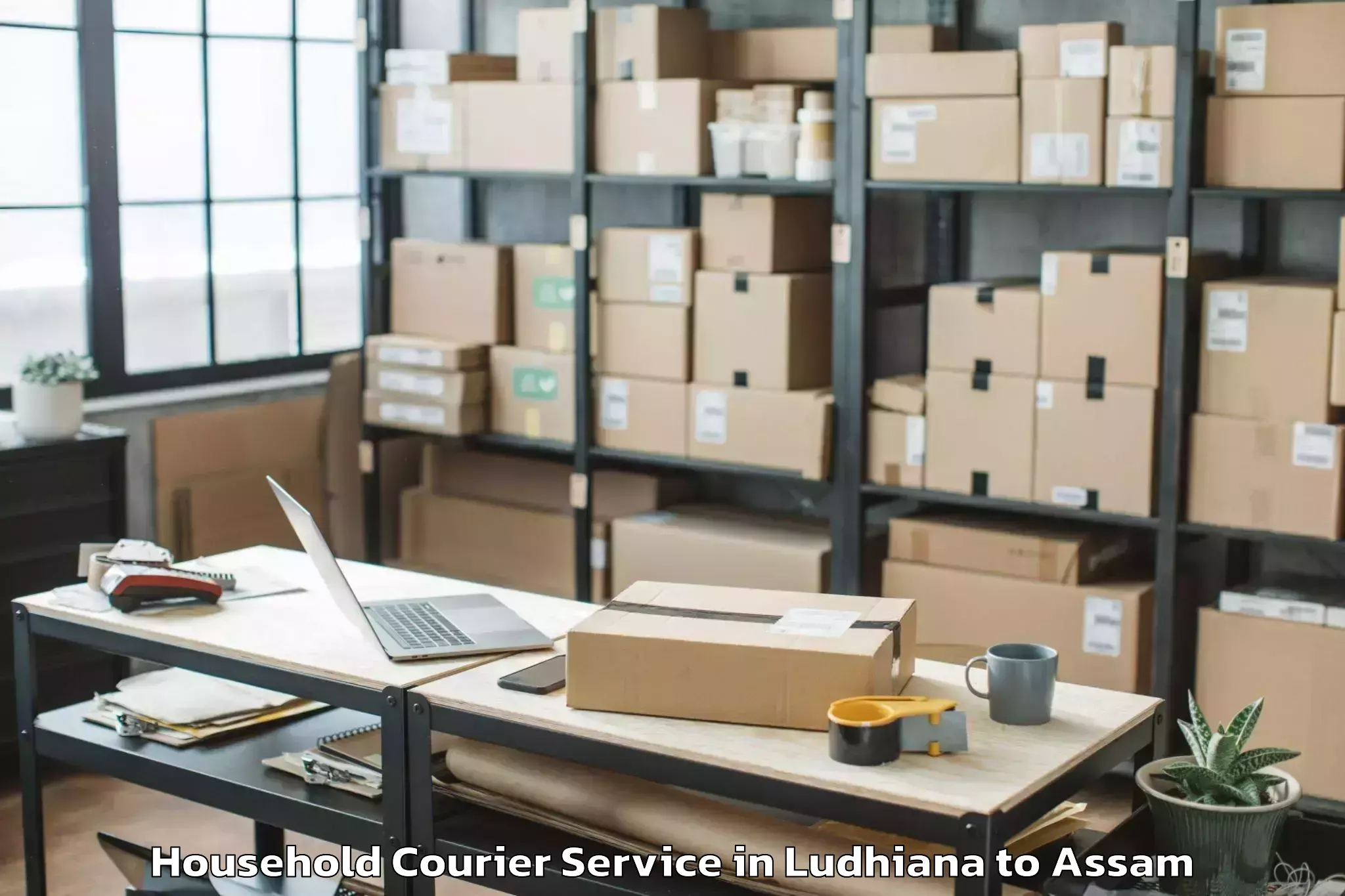 Book Ludhiana to Balijan Household Courier